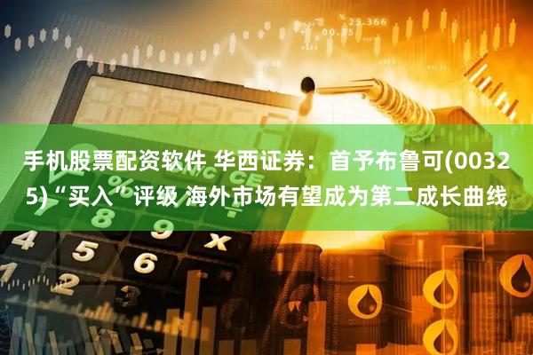 手机股票配资软件 华西证券：首予布鲁可(00325)“买入”评级 海外市场有望成为第二成长曲线